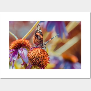 Lovely Monarch Butterfly Photograph Posters and Art